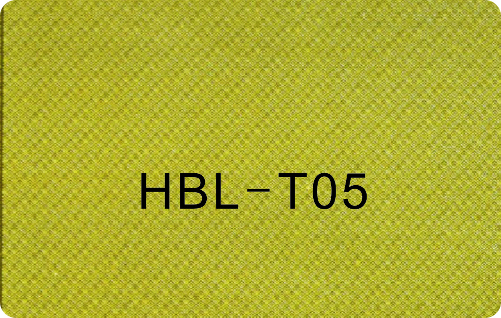 HBL-T05