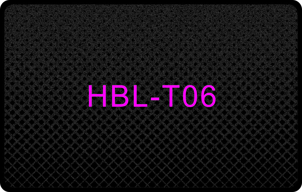 HBL-T06