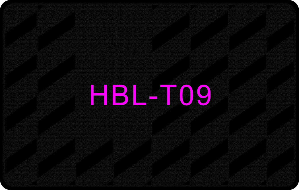 HBL-T09