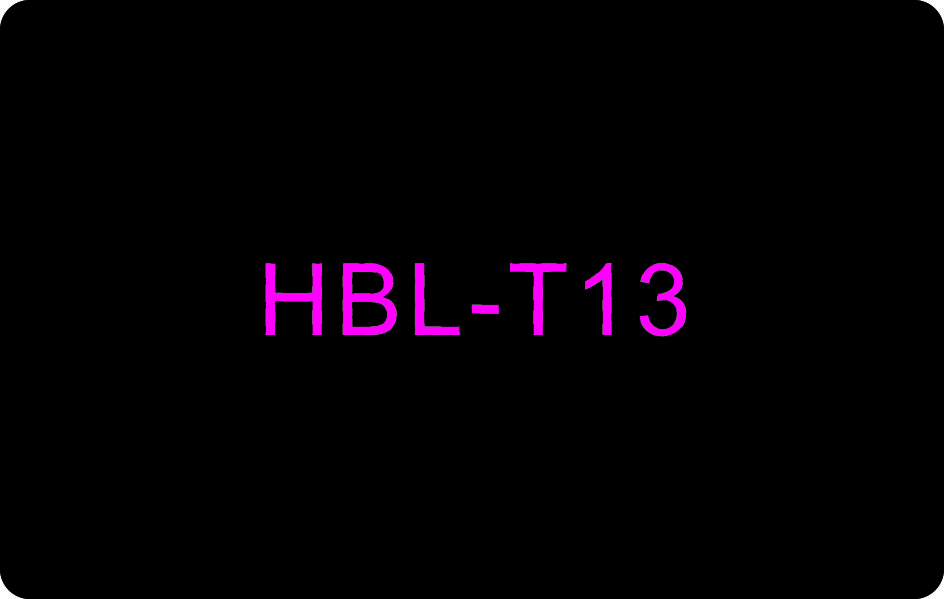 HBL-T13